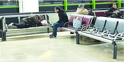 Ankara'nın göbeğindeki utanç tablosuna Ankara Büyükşehir müdahale etti