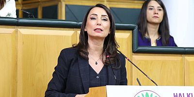 DEM Parti Eş Genel Başkanı Tülay Hatimoğulları'ndan İmralı çağrısı