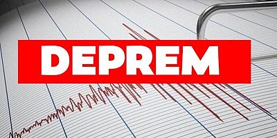 Depremin ardından 4. seviye alarm ilan edildi!
