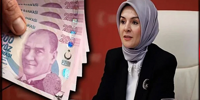 Engelliye, gönüllerinden aylık 801 lira zam koptu