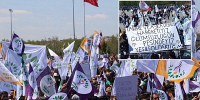 HDP