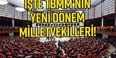 Partilerin